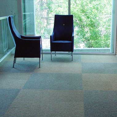 Commercial Carpet Cleaning